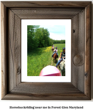 horseback riding near me in Forest Glen, Maryland